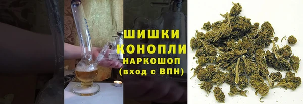 гидропоника Гусиноозёрск