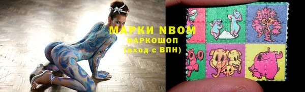гидропоника Гусиноозёрск