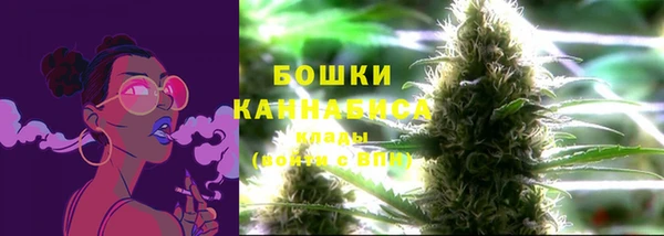 гидропоника Гусиноозёрск