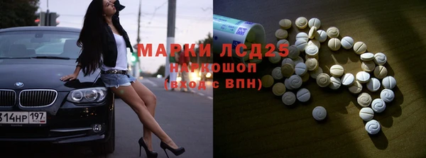 гидропоника Гусиноозёрск