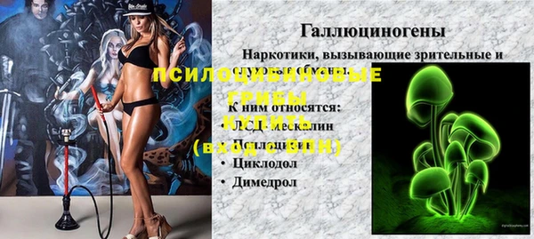 гидропоника Гусиноозёрск