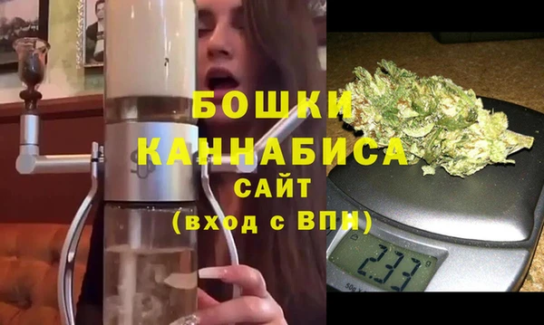 гидропоника Гусиноозёрск