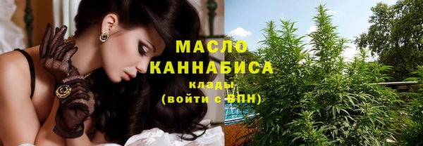 гидропоника Гусиноозёрск