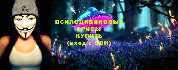 прущие крисы Гусь-Хрустальный