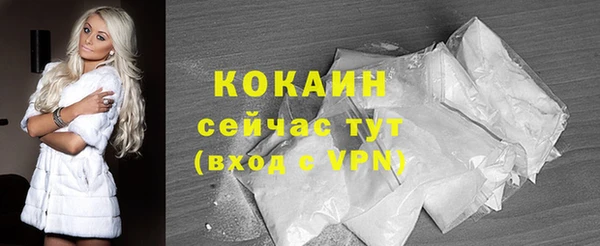 гидропоника Гусиноозёрск